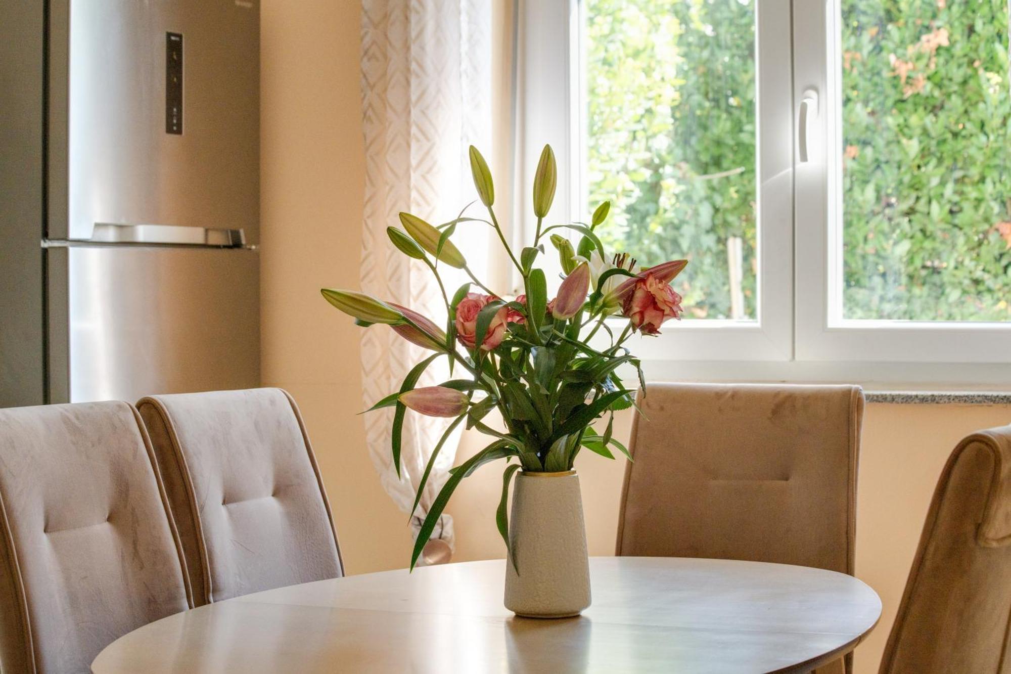 Apartment Markos